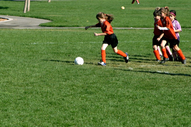IMG_3529.jpgw800h533