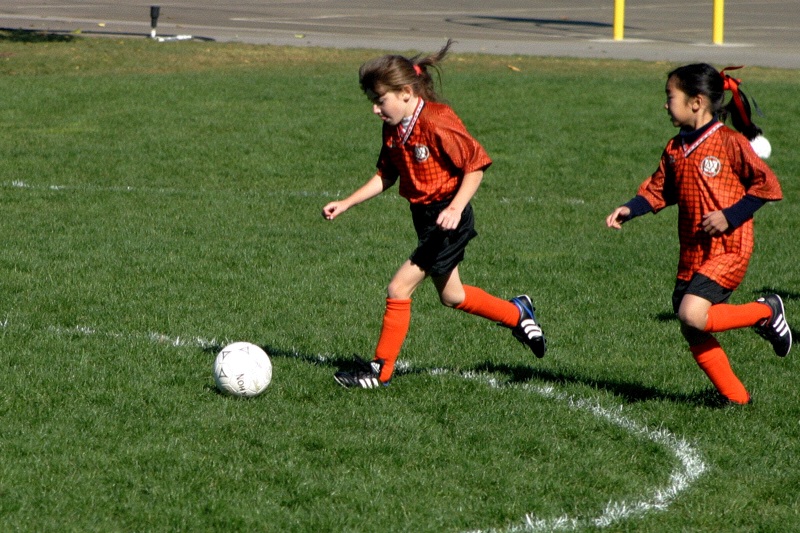 IMG_3531.jpgw800h533