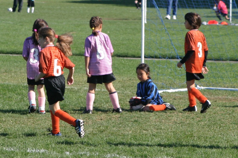 IMG_3532.jpgw800h533