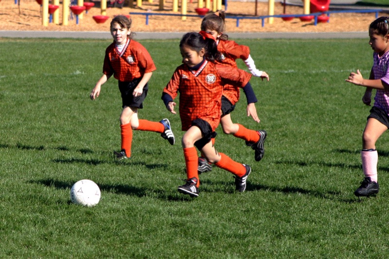 IMG_3535.jpgw800h533