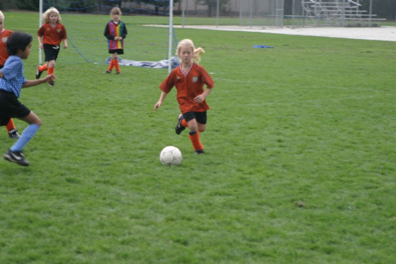 IMG_3685.jpgw800h533